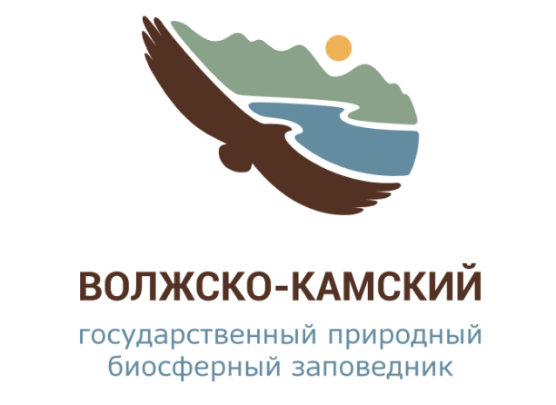 Назад